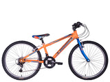 Warrior 24