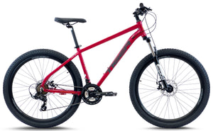 Ace V3 29 Mountain Bike