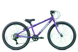 Tiger Beat Youth Mountain Bike